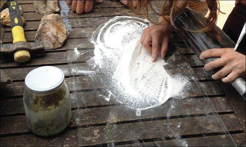Biodynamic preparations 1) 501 The Cow Horn Silica preparation is powdered quartz packed into cow horns to attract beneficial cosmic forces.