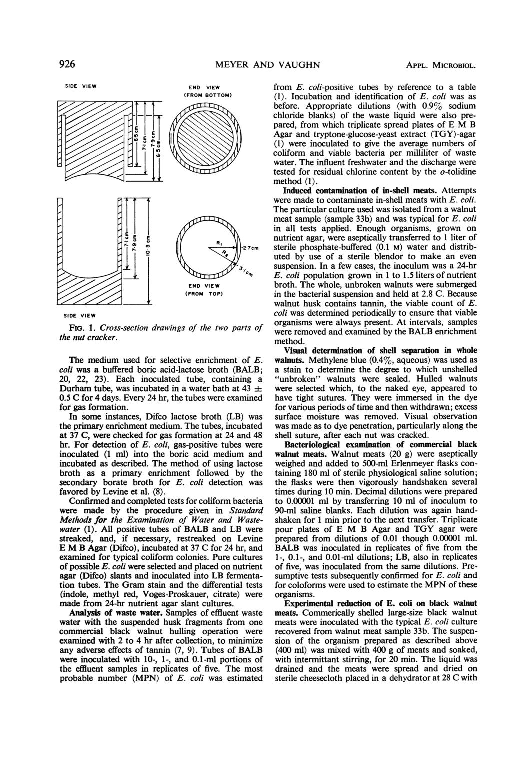 926 MEYER AND VAUGHN APPL. MICROBIOL. SIDE VIEW I--,.1, 5. A, " I--, 11-11 i SIDE VIEW.11E 0 E.1 E 0 0 E It- 0 1. 40 END VIEW (FROM BOTTOM) END VIEW (FROM TOP) Fia. 1. Cross-section drawings of the two parts of the nut cracker.