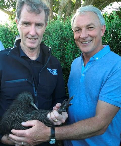 Kiwi return to Hunua Ranges (Published 31 March 2017in OurAuckland) North Island brown kiwi were released on the 31 March in the Hunua Ranges, the first of their species to inhabit the area for