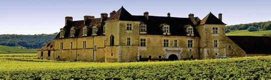 BOURGOGNE In Bourgogne, an ancient and fractured geology delivers wines of distinction and distinctiveness.