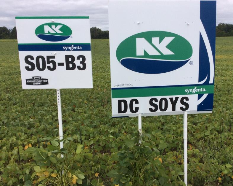 DC Soys after Processing Peas - 2014