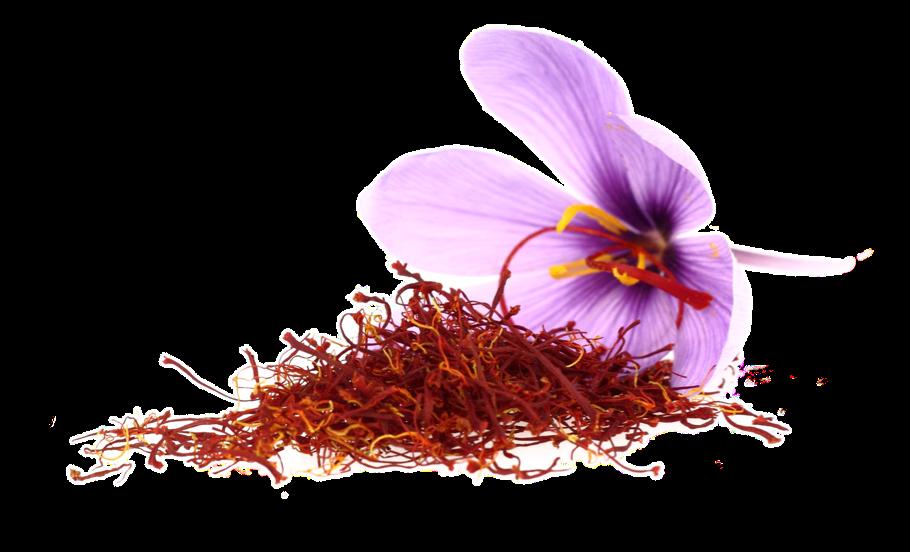 MEYRO S SAFFRON Iran s saffron is the best saffron of the world.