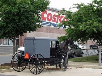 They sell about $300,000 worth of them every week. People sure love cashews. Costco in Lancaster, Pennsylvania, has designated horse and buggy parking for the Amish.