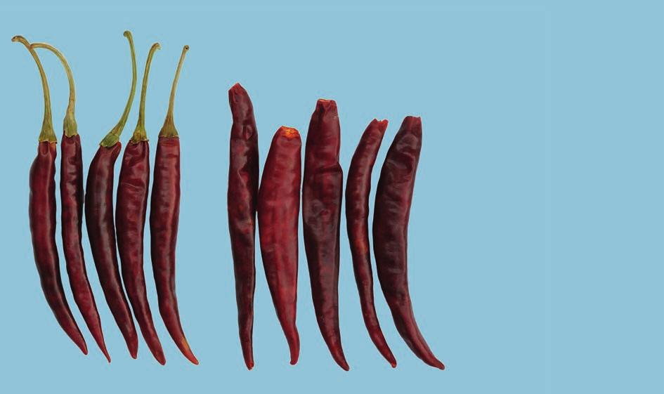 UNECE Explanatory Brochure on the Standard for Whole Dried Chilli