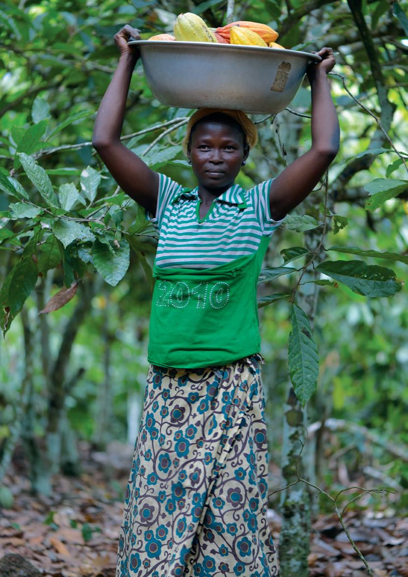 9% of the world s cocoa farmers are now UTZ certified 10% of global coffee
