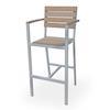 Available - Espresso/Gunmetal Silver/Unfinished Adele Bar Side Chair PRAUG-SC-1013-162-ESV Color: Espresso PRAUG-SC-1013-162-GMS Color Gunmetal Silver