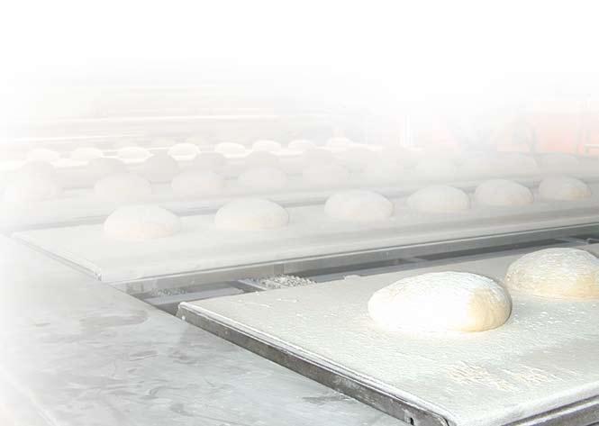 Stabilized tray proofers This system is mainly used for small/medium sized lines and for hearth baked products.