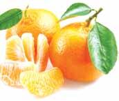 برتقال )فالنسيا(
