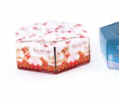 32 Pyramid Tea Bags in Christmas Gift Tin (Style # 027461) Irish Cream Peppermint Ginger