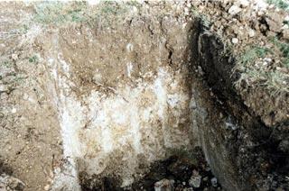 A unique «Terroir» Clay soil 85% Merlot, 15%