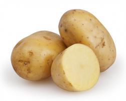Potato Cashew Garlic Cucumber -Grows in the