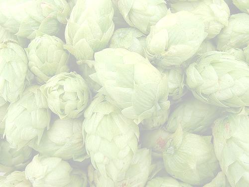 English Hops Goldings around since 18 th century Fuggles from the 1870 s Farnham Whitebine highly valued Last bines grubbed up in 1929
