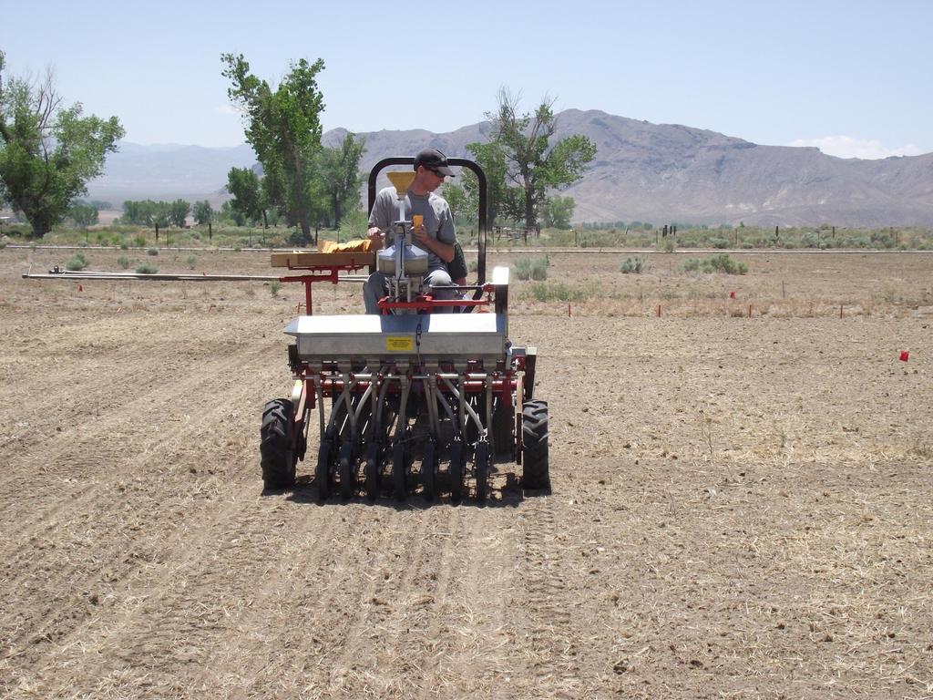 Nevada & Utah Teff Seeding