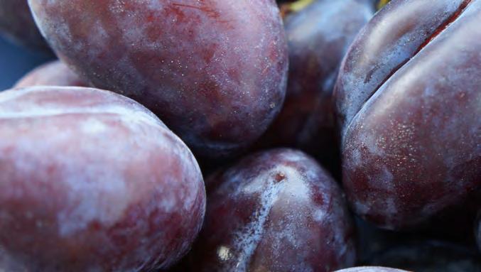 Plums ripen quickly on warm summer days, so look for firm, slightly underripe fruit. Leave on the counter for a day or two to ripen. FRUITS BLACKBERRIES Select: Choose firm berries free of mold.