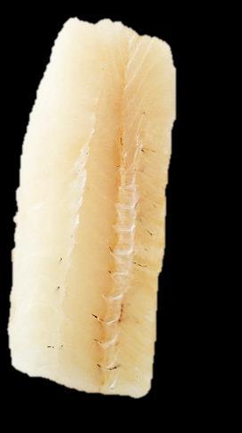 COD LOINS - PACIFIC Scientific Name: Gadus macrocephalus (Pacific Cod) ORIGIN: WILD/FARMED: HARVEST METHOD: