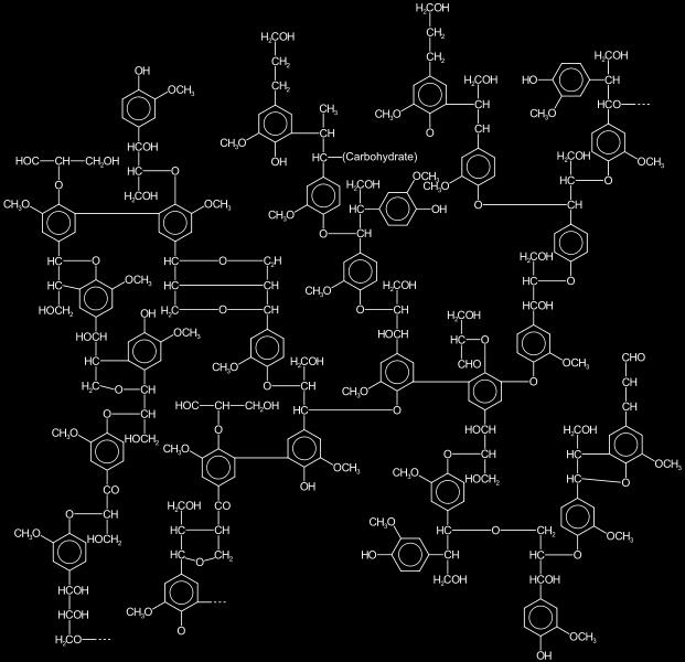 Lignin Lignin is an irregular highly cross-linked phenolic polymer It cross-links