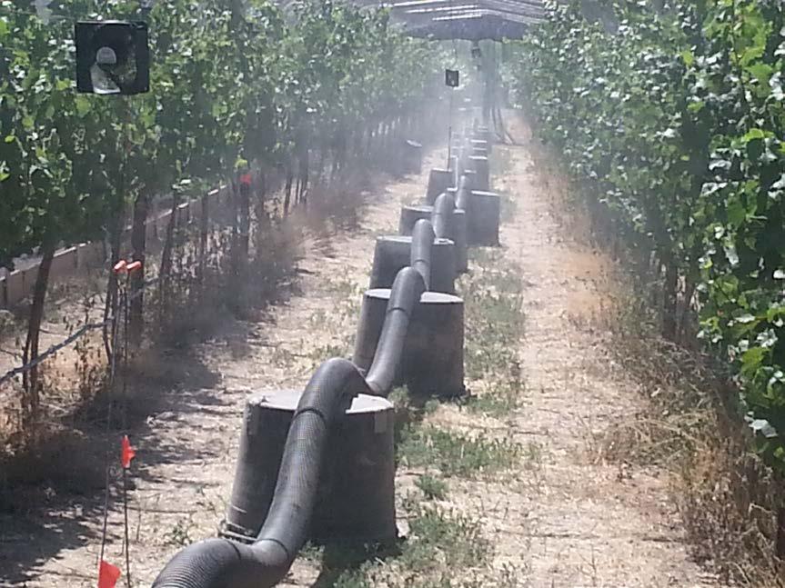 Develop a system for exposing vineyards to moderate levels of smoke for extended periods Smoke taint project Monitor extraction of smoke compounds