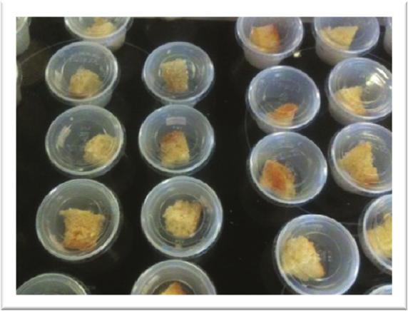 Methods Aim: additional restoration of fat/sugar-related flavour and texture in binary-reduced muffins by the use of aromas primary compensation (WP3): Fat WO Sugar short-chain Inulin secundary