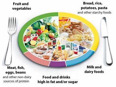 The Eatwell Plate All of the foods that we eat will fall in to 1 of 5 food groups.