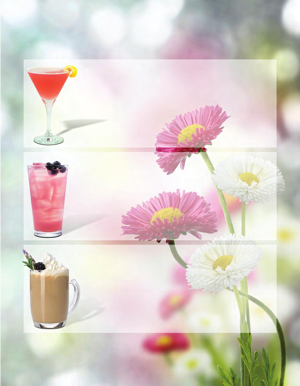 SEASONAL RECIPES Freshen up your menu this spring with offerings that bloom with fresh floral flavor. WILD ROSE MARTINI Glass size: 5 oz. 1 1/2 oz. orange vodka 1/4 oz. Monin Rose Syrup 2 oz.