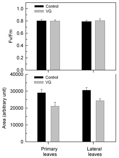 Figure 2 Maximal photochemical efficiency of PSII (Fv/Fm) and the pool size of plastoquinone on reducing size of PSII (Area) recorded in 2010 on median primary and lateral leaves of Sangiovese vines