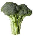 Broccoli Postharvest