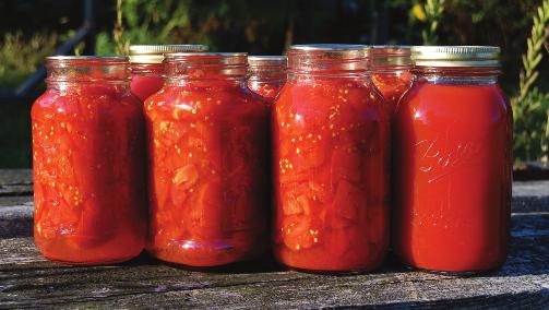 Boiling water canning basics Project objectives Learn how to safely preserve fruits, tomatoes, fruit spreads, and pickles. Learn how to use home-canned foods you prepared in healthy recipes.