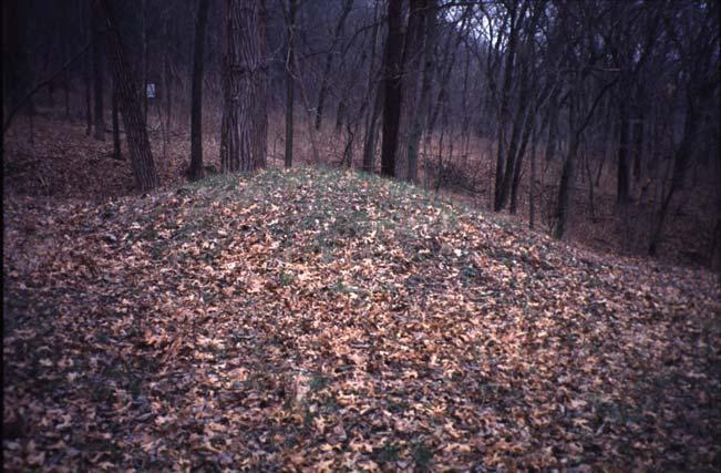 Woodland people buried their dead in man-made mounds, made pottery and began to grow plants in small gardens.