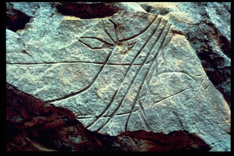 Woodland Tradition Page 27 Rock Art Carvings or paintings on rock surfaces begin to appear during this time period.
