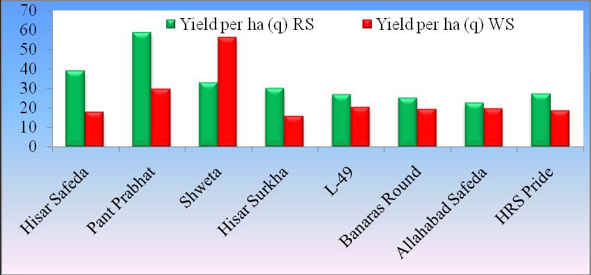 Fig.1 Yield q/ha of the guava cultivars The maximum fruit drop was noticed in Banaras Round (52.67 %) followed by Allahabad Safeda (48.33 %), L-49 (44.33 %) and HRS Pride (43.