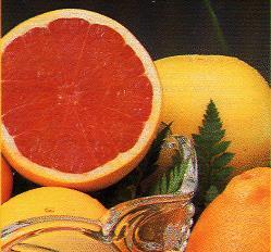 Grapefruit Large trees White or red fruit Mutations are not uncommon.
