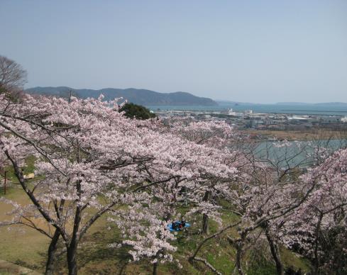 It s well-known as one of the best places in the city for cherry blossoms