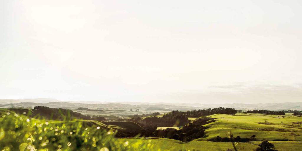 GRASS-FED MEANS SOMETHING DIFFERENT HERE. New Zealand is one of the few places in the world where grass-based farming can reach its true potential.