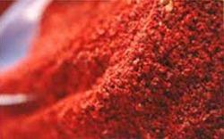 INDIAN SPICES Leading Exporter and