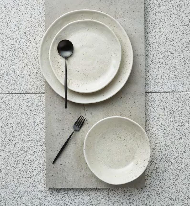 Earth Hospitality grade, high- fired porcelain dinnerware collection.