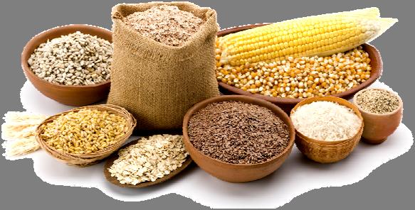 IS IT WHOLE GRAIN-RICH? Use the following checklist to determine if a grain is whole grain-rich. Whole grain-rich grains must meet at least one of the following criteria.
