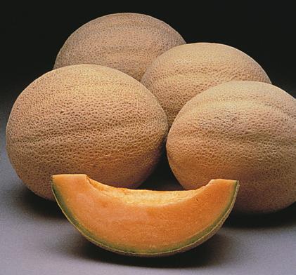 (Image courtesy AAS) Preferred (%) 0 75 Recommend (%) 38 63 Rating 7 7.1 Germ. First fruit Pref.