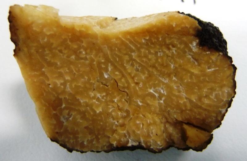 Chemical Profile of Truffles Truffles: Western Australia: 3 regions New