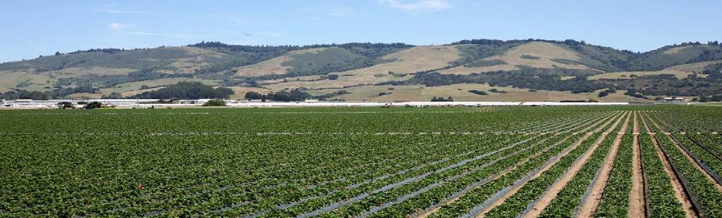 FRUIT CROPS CROP YEAR ACRES PRODUCTION TOTAL PRODUCTION PRICE TOTAL VALUE (TONS PER ACRE) (TONS) (PER TON) STRAWBERRIES 2017 2,602 41.16 107,098 $1,972 $211,196,000 2016 3,044 37.