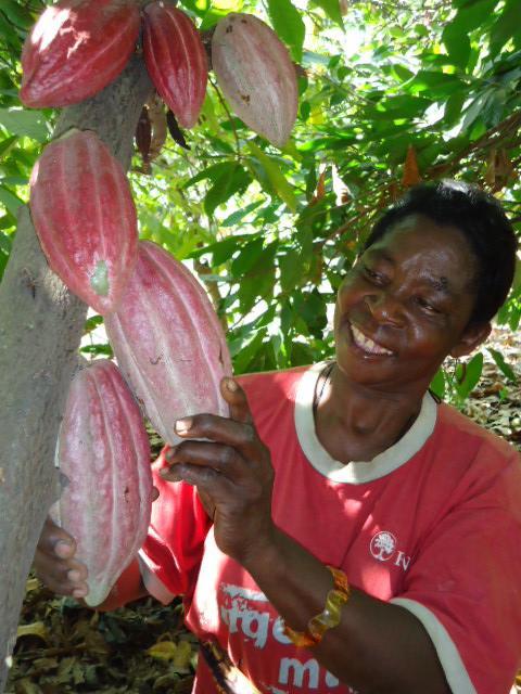 Project Update: September 2013; page 5 of 5 Image: Mrs. Lydia Ngosi of Ipana village in Kyela ward inspecting her cocoa pods Mrs.