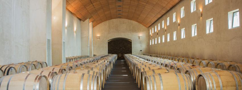 GRANDES VINOS DE SAN PEDRO San Pedro winery has created a new unit: Grandes Vinos de San Pedro.