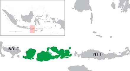 Source: Wikipedia Figure 1.1 Map of West Nusa Tenggara Province Table 1.1. Total land area of regencies in WNT Province. Num. Regency/city Land area (km 2 ) 1 Mataram City 61.30 2 West Regency 1,863.