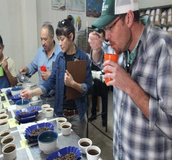 C2C TRADE PACHAMAMA 5 SECOND TIER COOP MEMBERS COCLA (Peru), PRODECOOP (Nicaragua), Manos Campesinos (Guatemala), La Unjion Regional de Huatusco (Mexico) and Oromia Coffee Farmers Co-op Union