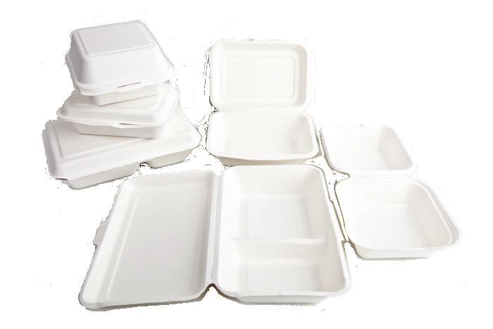 99 PLSQPL0 Compostable Square Palm Leaf Plate (0x0mm) 00.9.99 LITRPE Lid for /60ml Trays Clear 6.