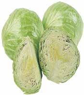 oz. / 9 lb Michigan Green Cabbage Product Of USA /