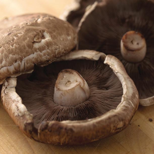 Use a spoon to scrape the gills from the caps and discard. Lightly brush both sides of the mushrooms with 1 tablespoon of the olive oil. Season with salt and pepper to taste.
