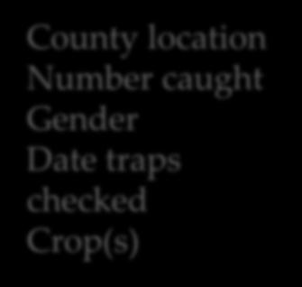 edu/swd1/ County location Number caught