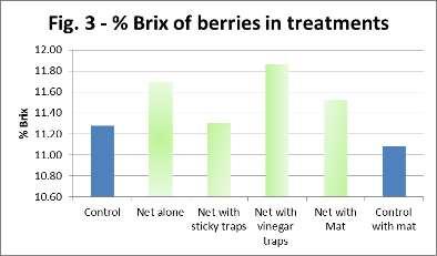 (Figure 2). Overall yield was slightly higher in some of the netted treatments. Fruit quality was not negatively impacted by the netting.