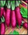 79, 1 oz - $2.99, 1/4lb - 8.99, 1 lb - 22.99 Pink Summercicle 27 days. This 5 inch cylindrical radish has a good, crunchy texture and a nice, mild flavor.