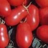 Perfect slicing tomato. Impress your neighbors and try growing a world record size tomato. 100 Seeds - $1.49, 1/16 oz - $2.99, 1/8 oz- $4.99, 1/2 oz - $14.99, 1/4lb-$34.99 Red Cherry 65 Day.